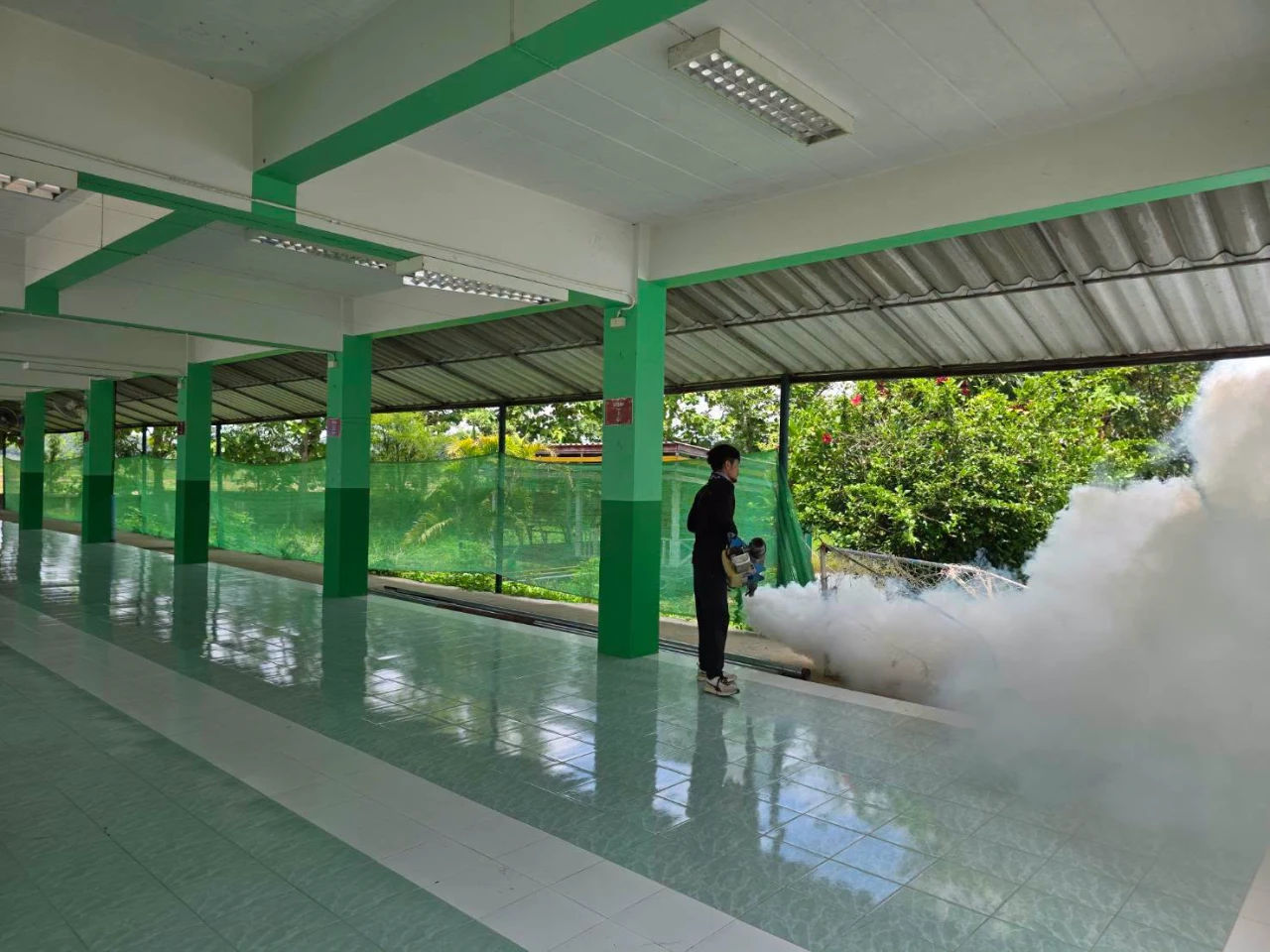 catalogs_file_146_24_30_443132.webp